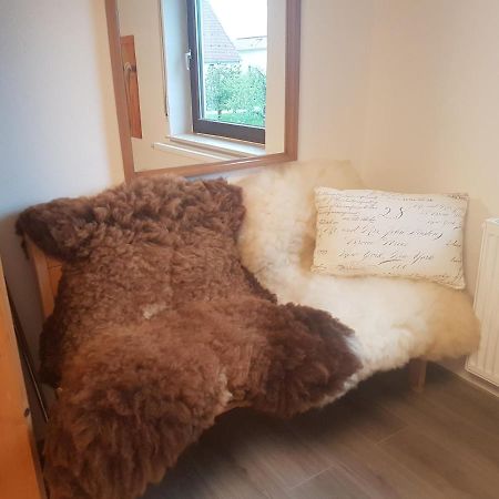 Dietingen Ferienwohnung Klothilde מראה חיצוני תמונה